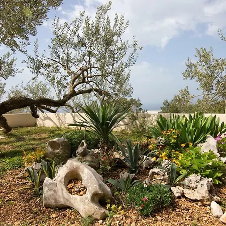 House Arija * 마카르스카