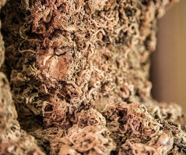 Hébergement de vacances House Arija