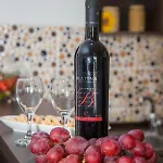 House Arija Prázdninový dům Makarská